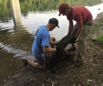 Two men pull tire from river