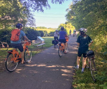 Cyclists on trail